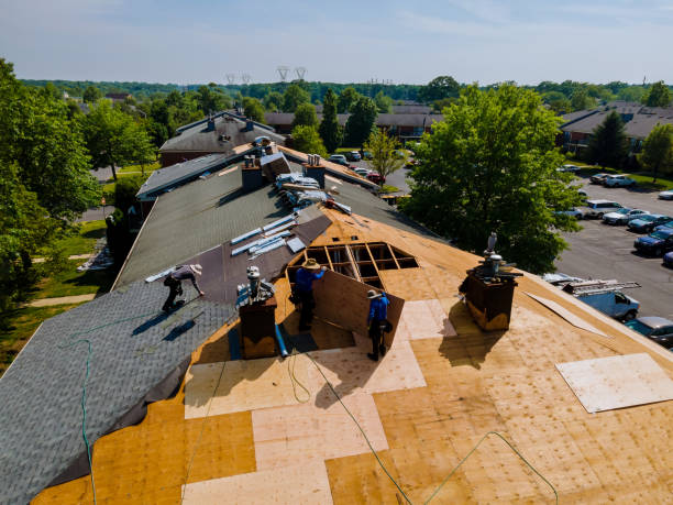 Best Storm Damage Roof Repair  in Aitkin, MN